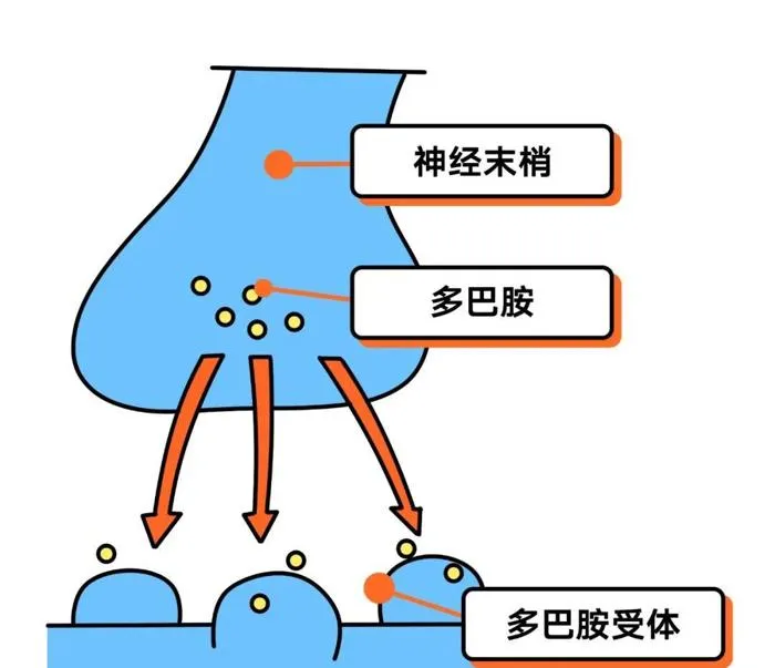 每次应该跑多少公里才能达到锻炼效果？适当的节奏是多少？